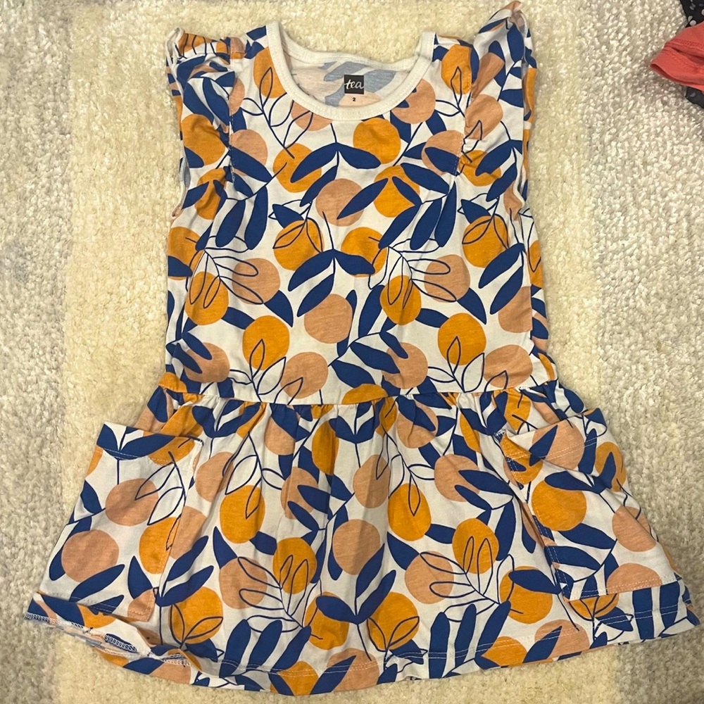 Tea collection dress 2t